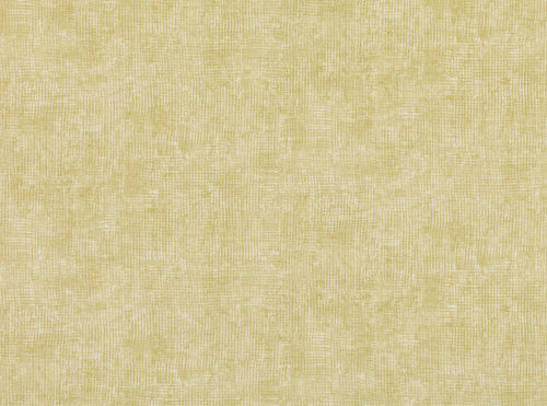 Jali  Mimosa W551-01